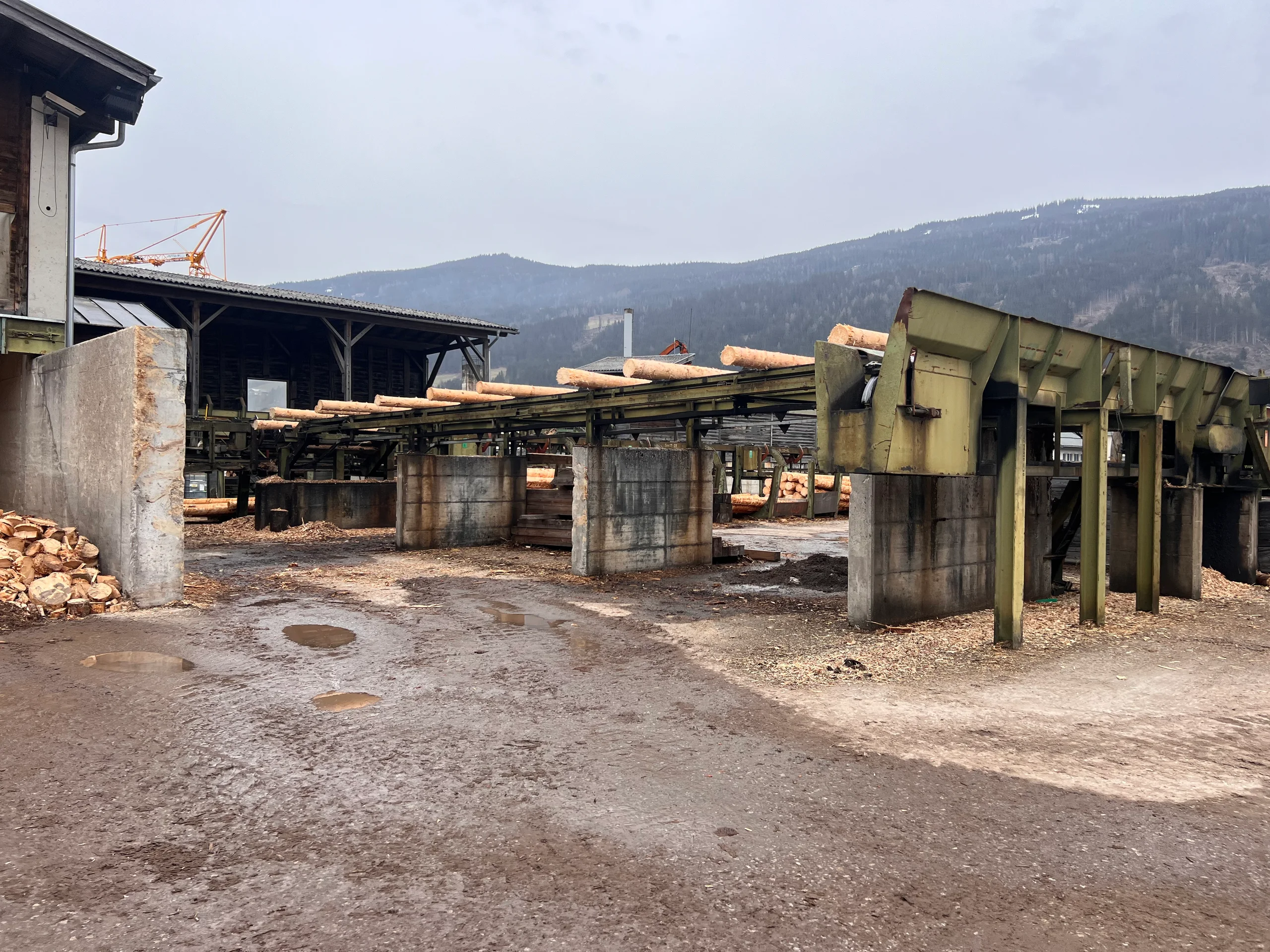 Log sorting plant with debarker - Image 18